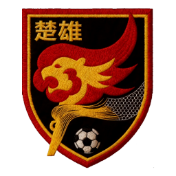 楚雄队